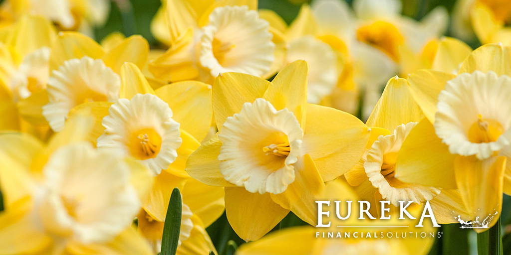 Spring Clean Your Finances